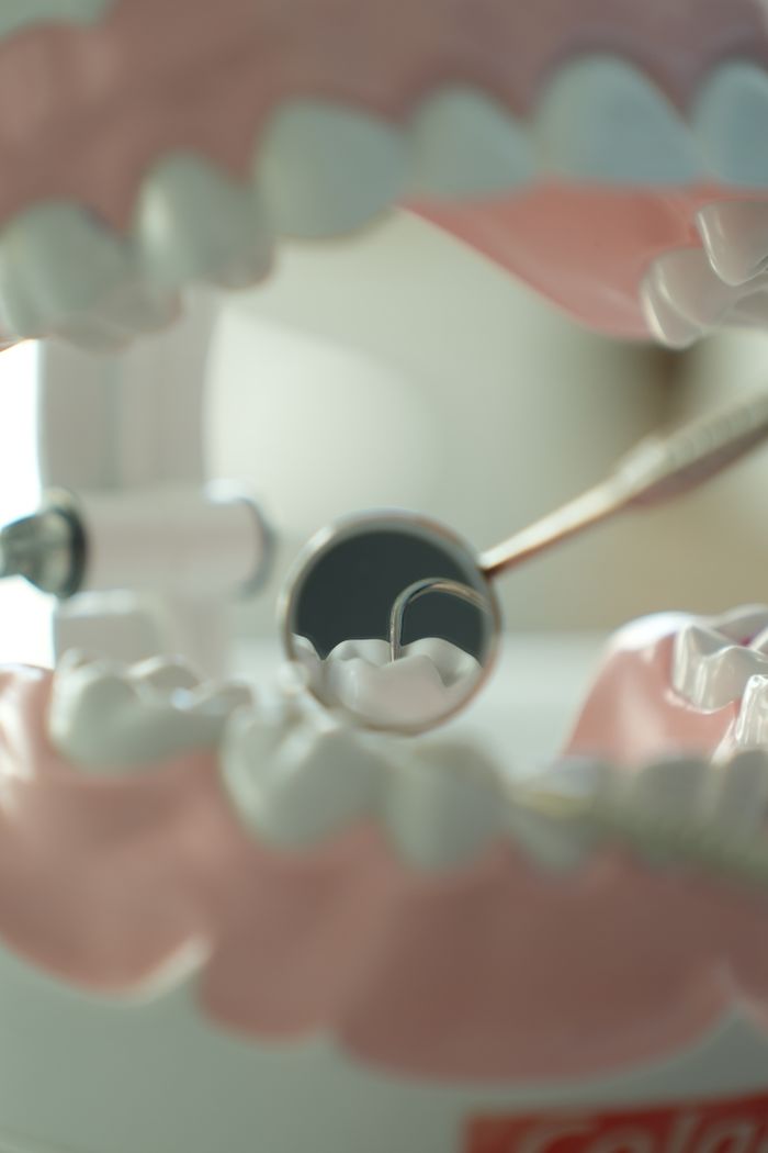 services-02 Close-up view of dental tools and model teeth, used for dental education and practice.