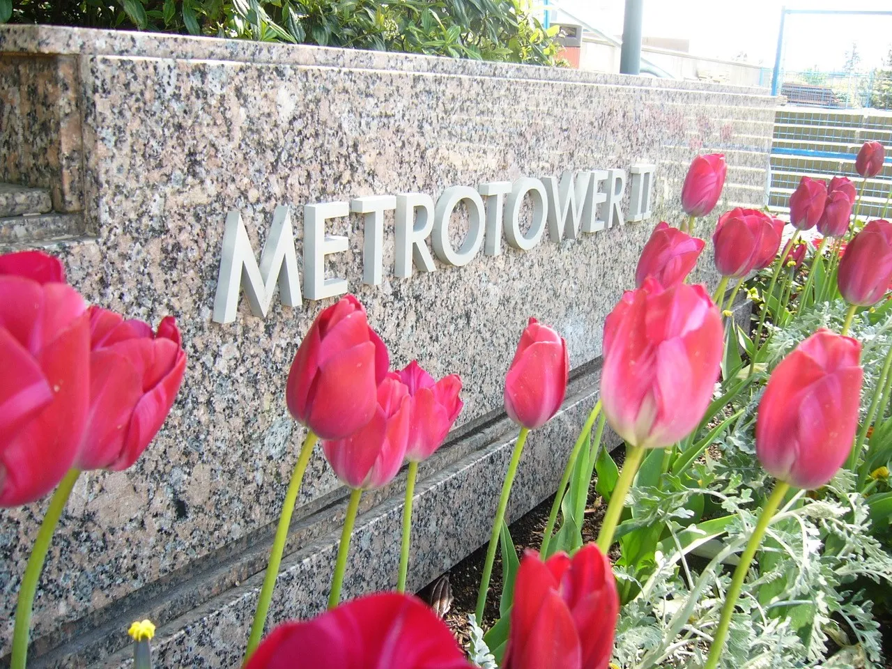 Office Tour Burnaby BC, Oral Surgeon Office